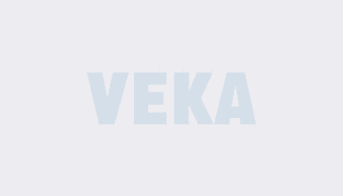 Технология каркасного домостроения в России: от проекта до готового домокомлекта с окнами VEKA