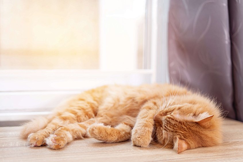 Пластиковые окна с шумоизоляцией, г. Москва