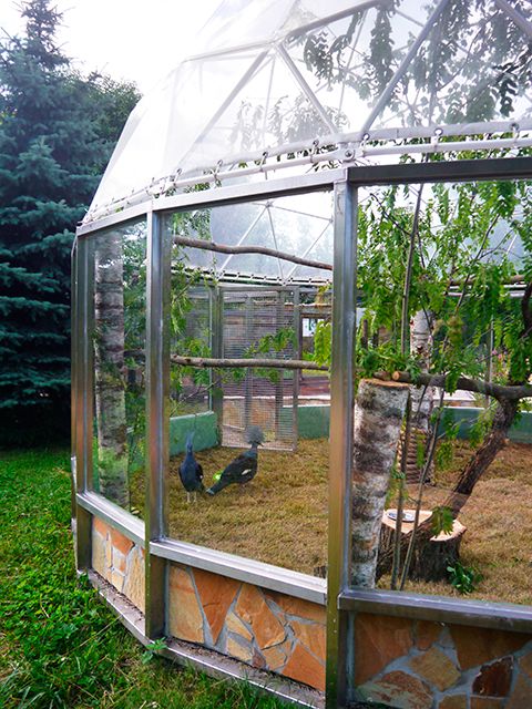 Посетители Ленинградского зоопарка наблюдают за его обитателями через «Окна Петербурга»