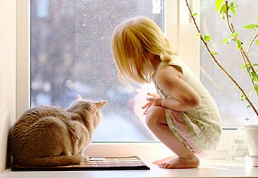 Образование конденсата при плюсовой температуре